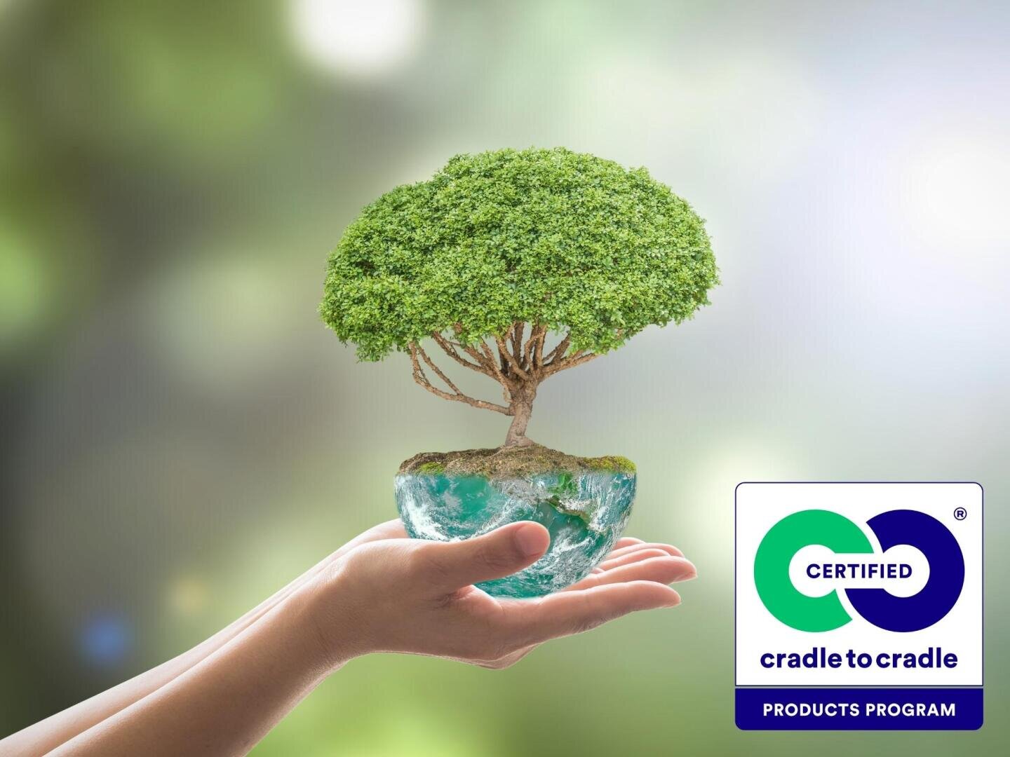 A hand holds a small tree growing from a clear globe, symbolizing environmental care. In the corner, a blue, green, and white Cradle to Cradle Certified Products Program logo is displayed.
