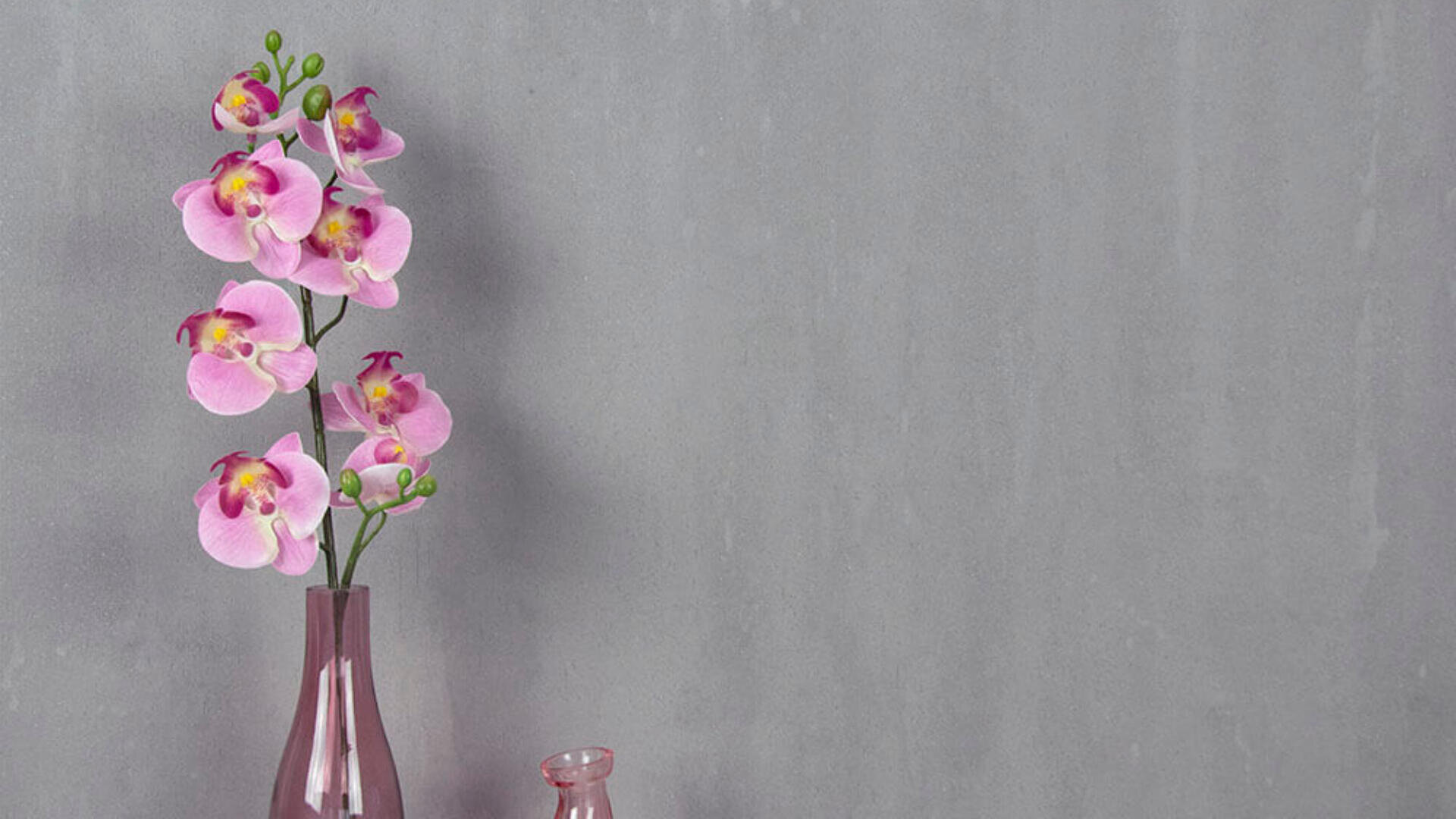 Eine rosa Orchidee mit grünen Knospen in einer rosa Vase steht neben einer kleineren rosa Glasflasche vor einem schlichten grauen Hintergrund.