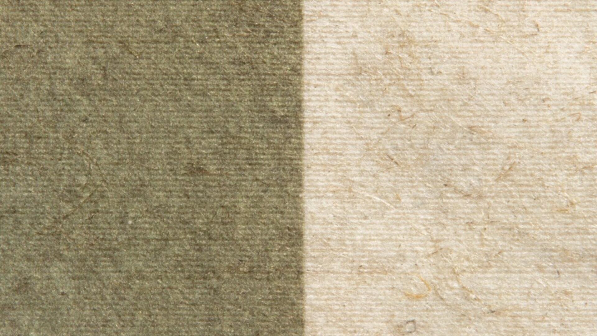 Close-up of two textured paper surfaces side by side: the left side is olive green, and the right side is light beige with visible fibers and subtle vertical lines.
