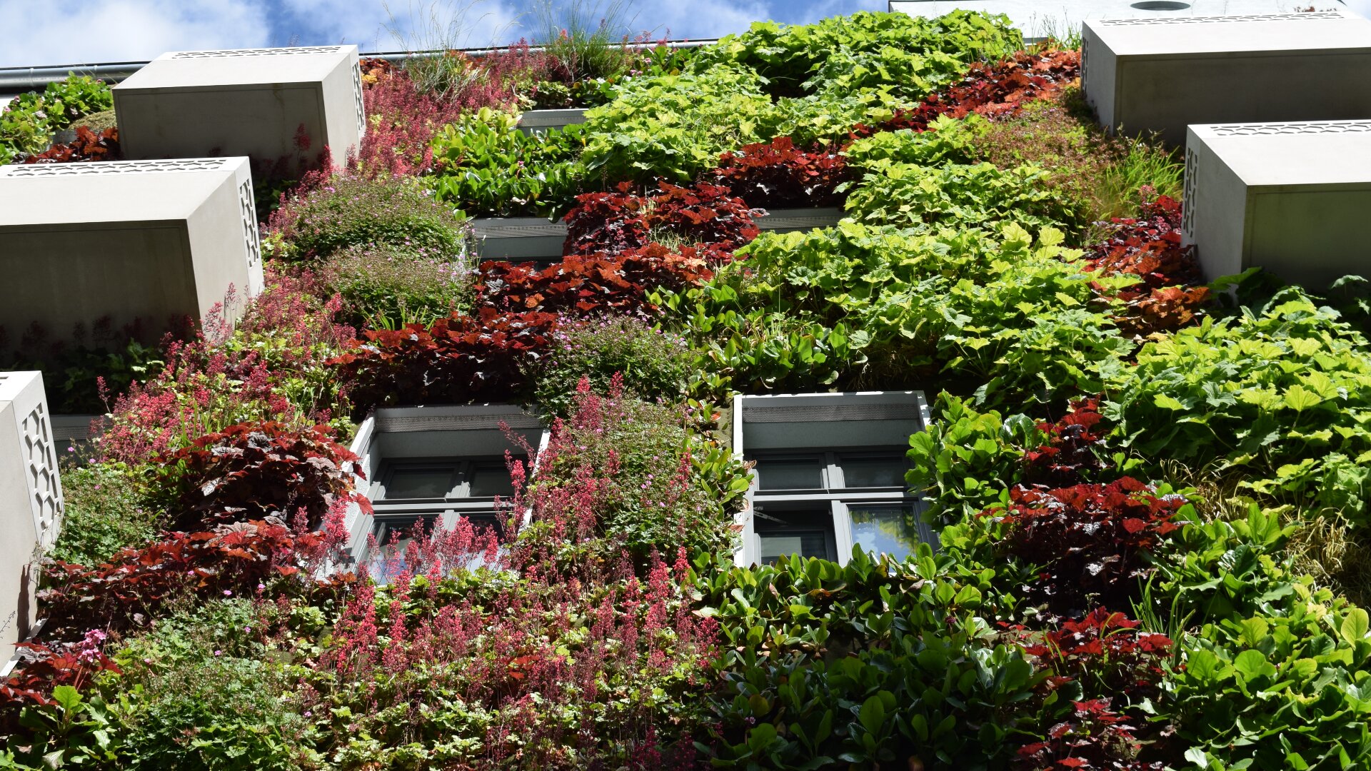 A tall building facade covered with a variety of green, red, and purple plants arranged in a vertical garden, with several windows and balconies integrated into the lush vegetation.