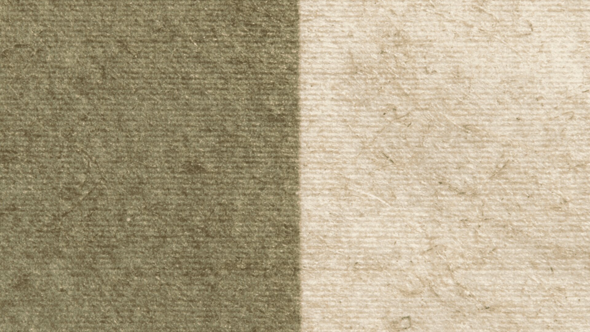 Eine strukturierte Oberfläche mit zwei vertikalen Abschnitten: Die linke Seite ist in einem gedämpften Olivgrün gehalten und die rechte Seite in einem hellen Beige, beide mit sichtbaren Linien und subtilen, unregelmäßigen Markierungen.