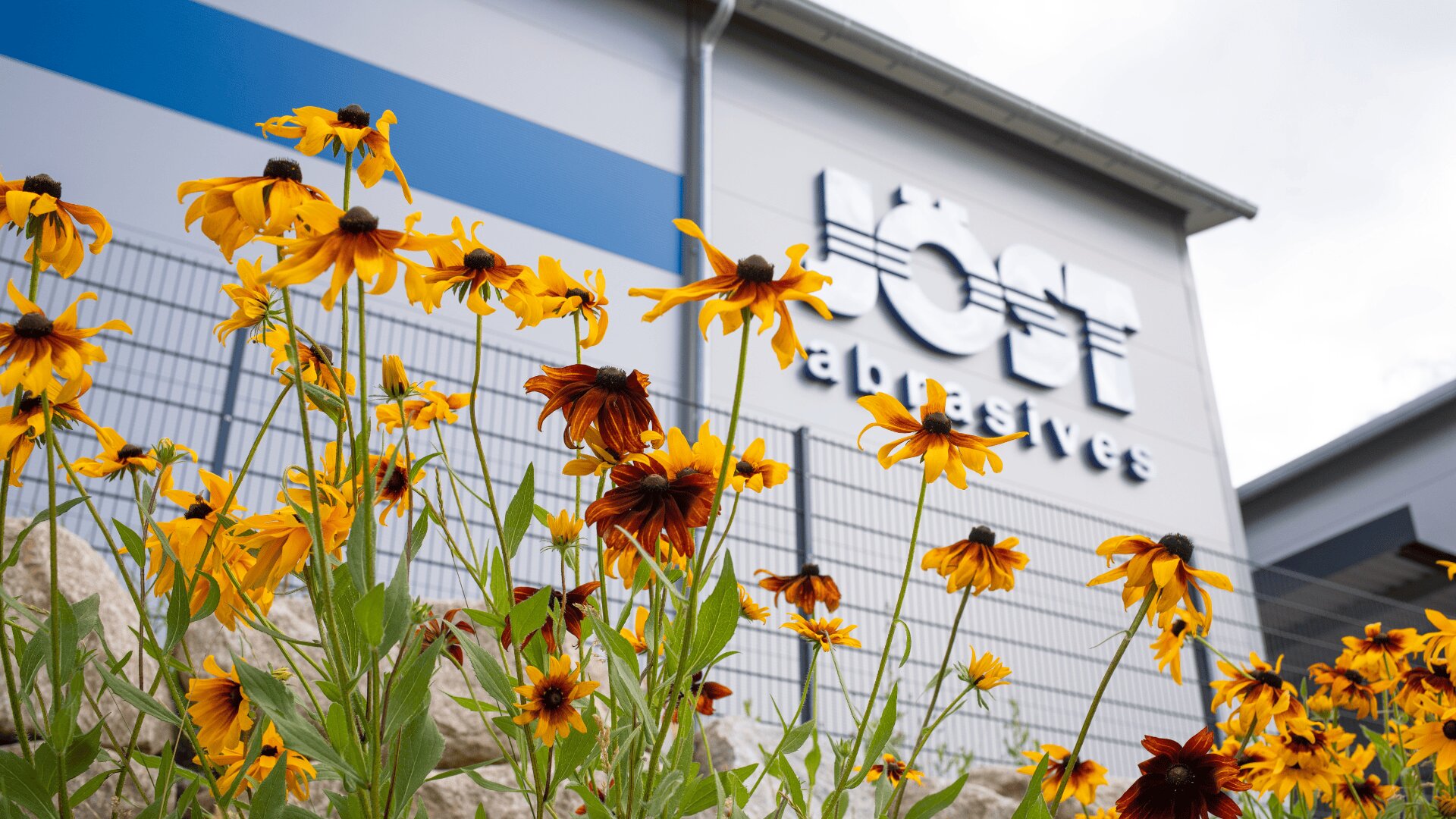 Gelbe und braune Blumen im Vordergrund, ein modernes Industriegebäude und ein Schild mit der Aufschrift „JÖST Schleifmittel“ im Hintergrund. Der Himmel ist bewölkt.
