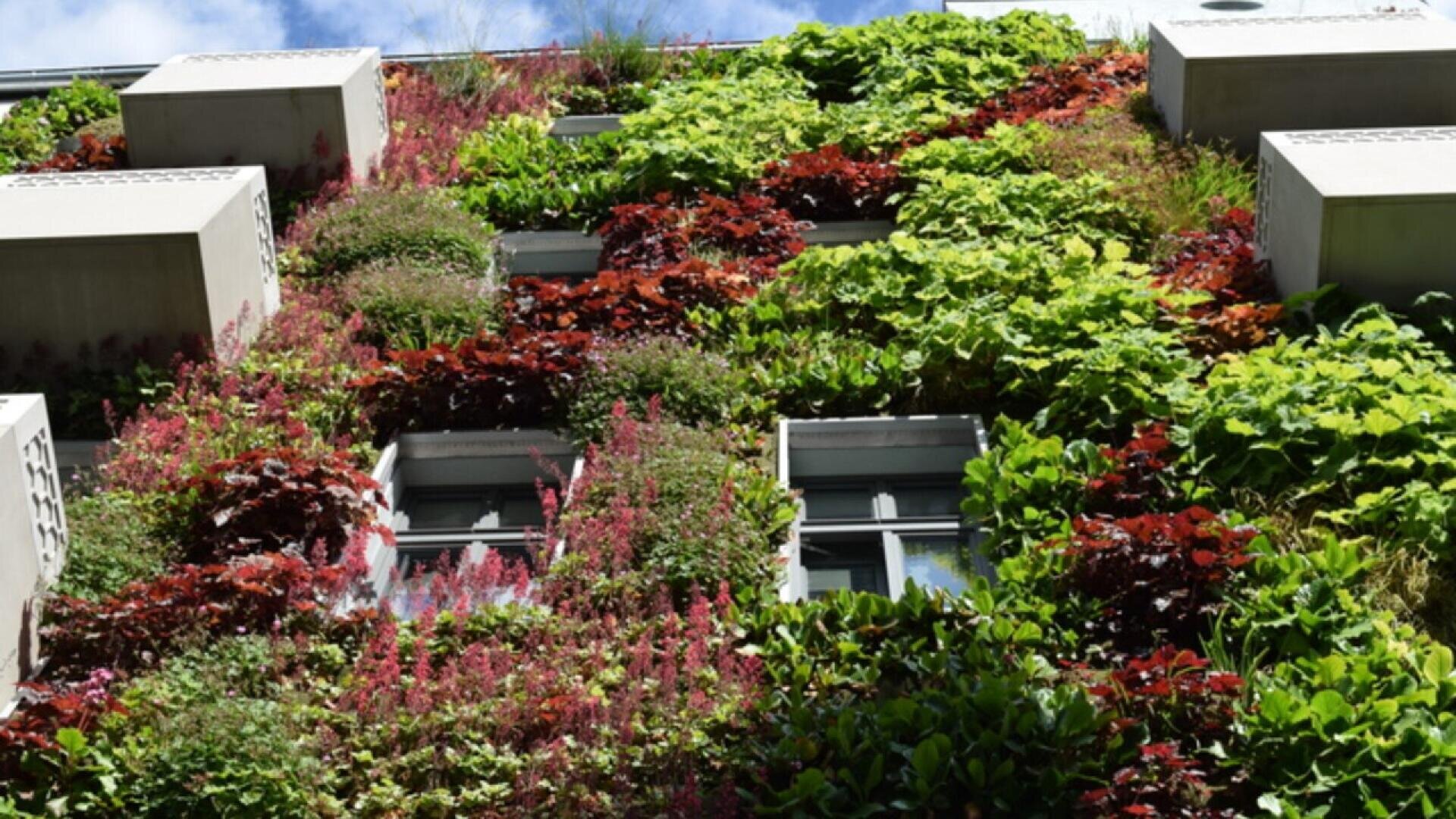 A building facade covered with lush green plants and red flowers, featuring several windows and balconies integrated into the vertical garden, set against a partly cloudy sky.