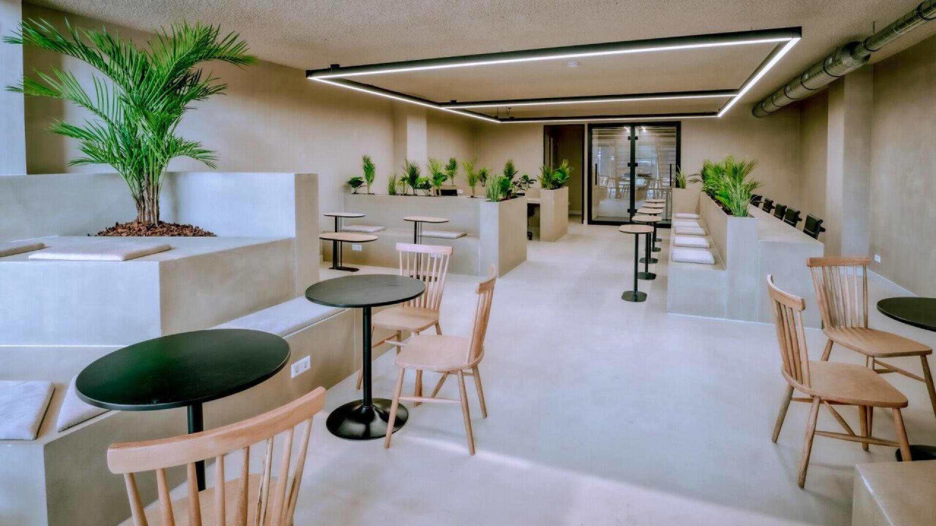 Modern café interior with beige concrete seating, light wooden chairs, black round tables, and several green potted plants. The space is bright, minimalistic, and has a geometric ceiling light fixture.