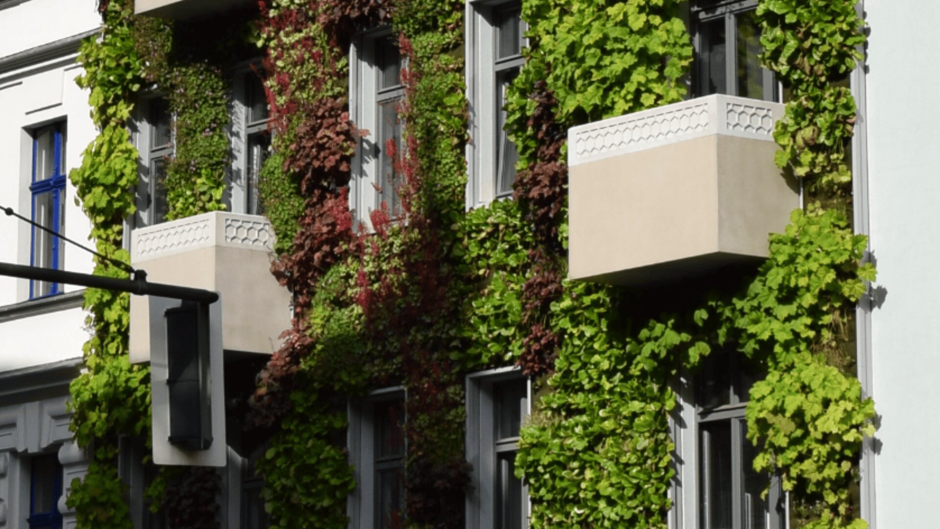 Eine Gebäudefassade mit mehreren Fenstern und Balkonen ist mit üppigen grünen und roten Kletterpflanzen bedeckt, wodurch ein vertikaler Garteneffekt entsteht.